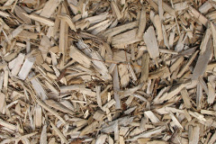 biomass boilers Ridley